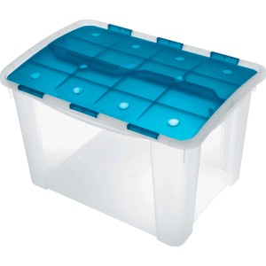 Contenitore trasparente con coperchio blu. Ideale per lo stoccaggio e l'organizzazione.