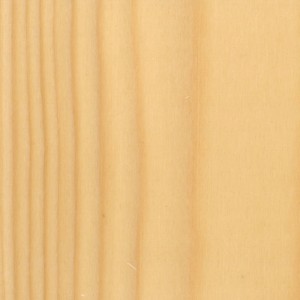 Primo piano di superficie in legno chiaro con venature. Impregnante per legno.
