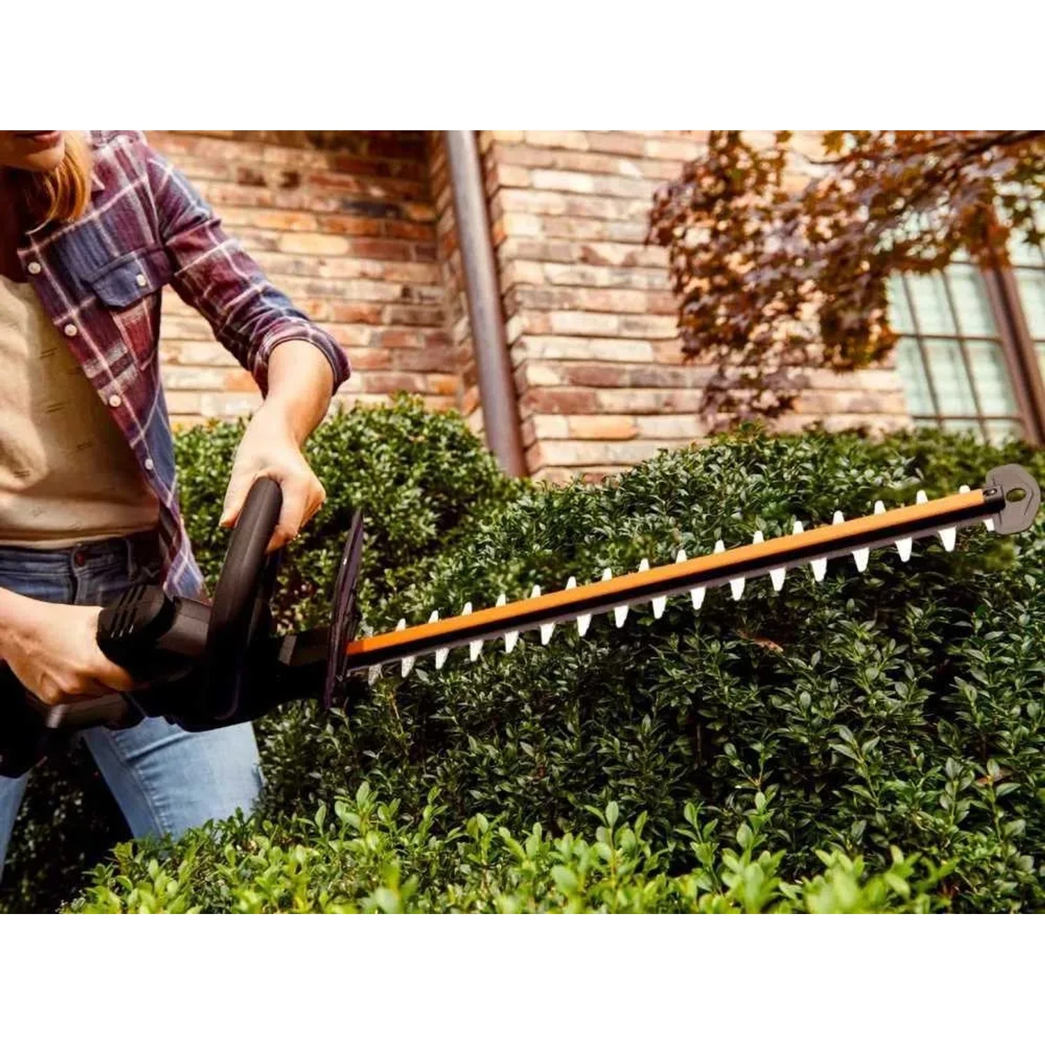 Tagliasiepi a batteria Worx Nitro WG263E in uso per tagliare una siepe.