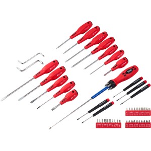Set di cacciaviti da 55 pezzi con vari cacciaviti e inserti per diversi lavori di avvitatura.