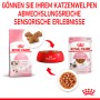 Set Royal Canin Kitten cibo umido e secco per gattini, con cibo in salsa e crocchette.
