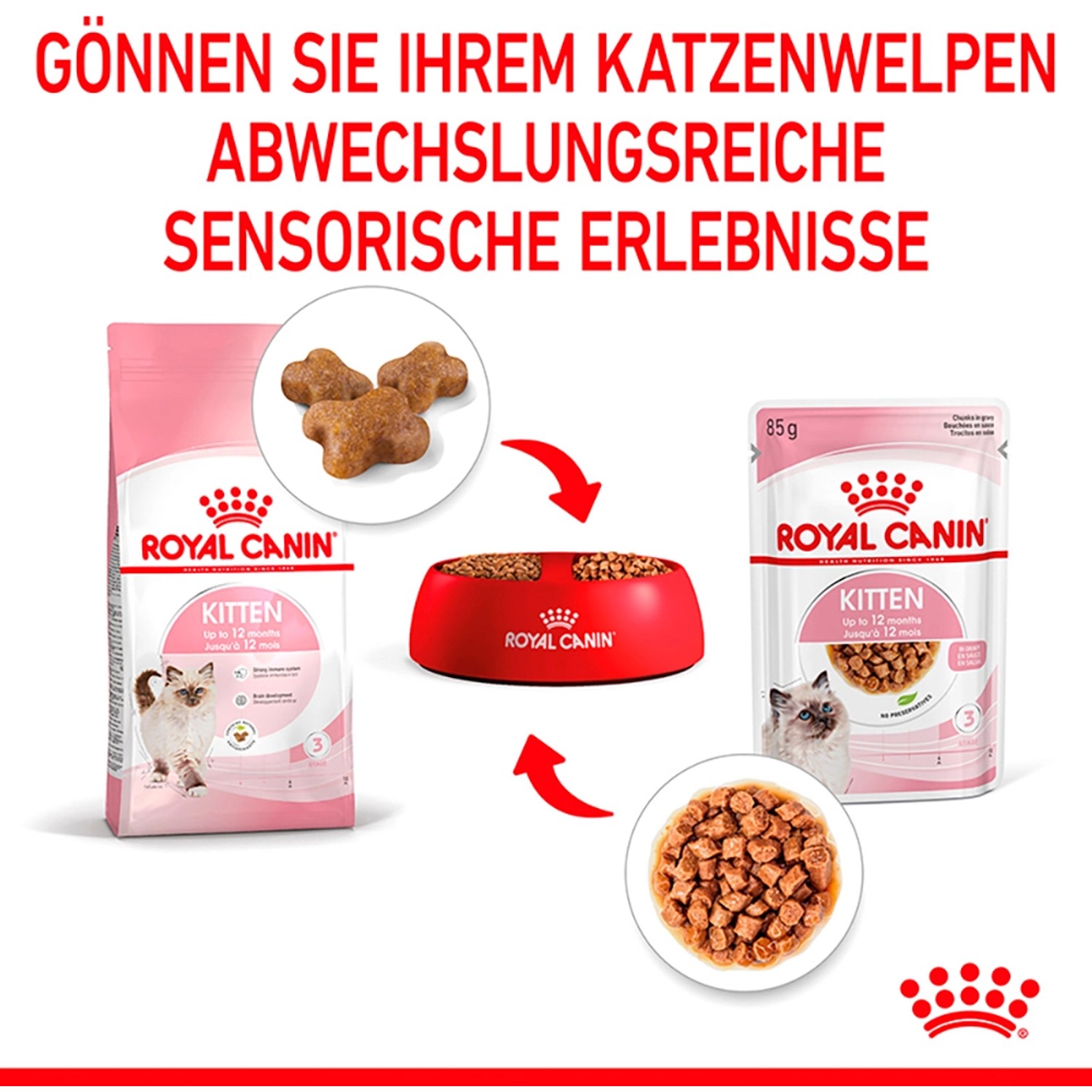 Set Royal Canin Kitten cibo umido e secco per gattini, con cibo in salsa e crocchette.