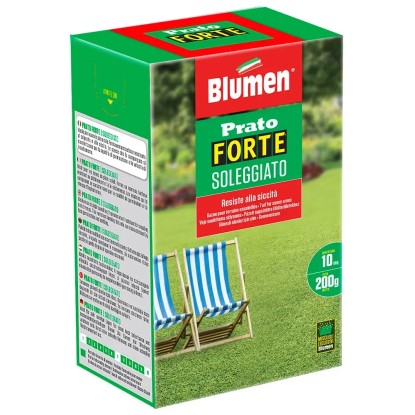 Semi Prato Forte OMBREGGIATO Blumen - 500gr, Miscuglio Per Zone D'Ombra, Verde Intenso - Foto 5