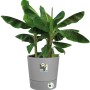 Vaso per fiori Elho Greensense Round, 43 cm, Light Concrete con pianta verde.