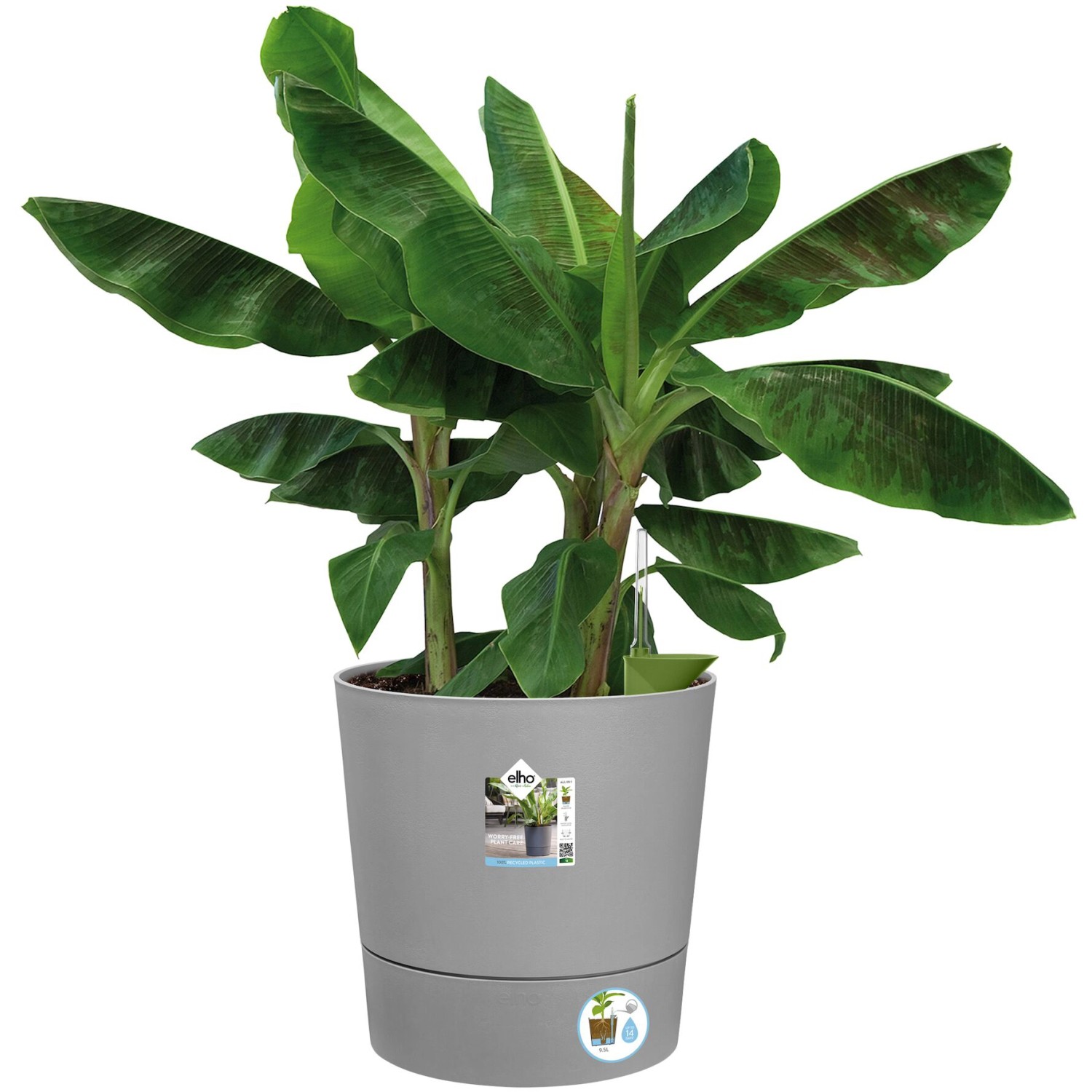 Vaso per fiori Elho Greensense Round, 43 cm, Light Concrete con pianta verde.