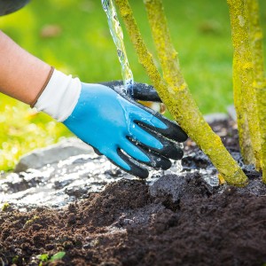 Guanti da giardino blu taglia 9 mentre si annaffia una pianta. Guanti da lavoro con rivestimento antiscivolo.