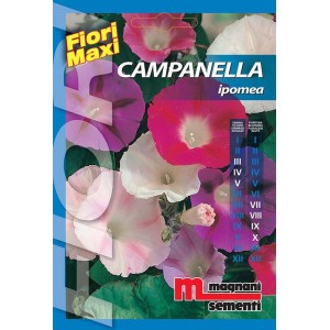 Confezione di semi per fiori Campanella (Ipomea) con fiori di campanelle colorati.