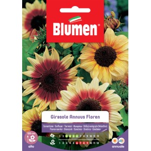 Confezione di semi di girasole 't.b.t.' per aiuole colorate.