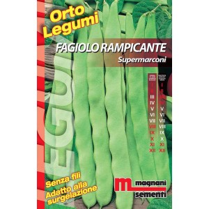 Confezione di semi di fagiolo rampicante 'Supermarconi' per l'orto.