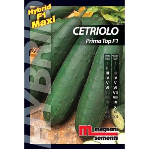 Confezione di semi di cetriolo 'Cetriolo Prima Top F1', ideale per l'orto.
