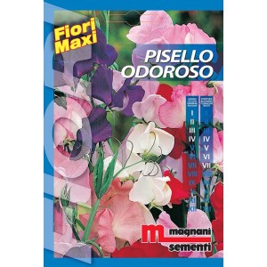 Confezione di semi di pisello odoroso 'Pisello Odoroso' di Magnani Sementi. Semi di fiori per fioriture colorate.
