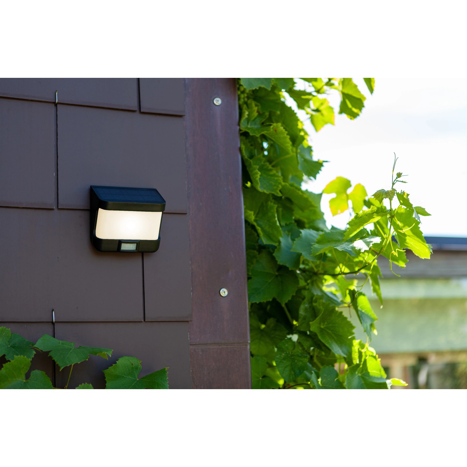 Lutec LED Solare Applique Try, nero opaco, con sensore di movimento su parete domestica.