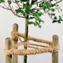 Albero fissato a pali di legno con spago naturale. Filo di cocco per legare in giardino.
