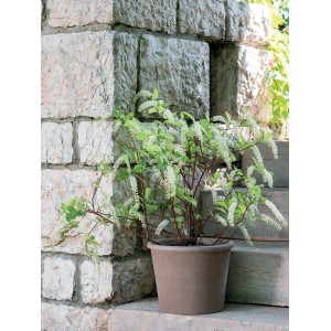 Vaso per piante Deroma Cilindro Primitivo Ø 38 cm grafite