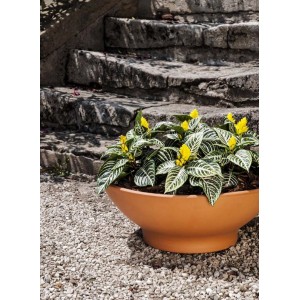 Ciotola bassa terracotta 37 cm