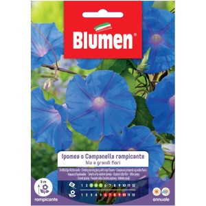 Confezione di semi di Campanella rampicante blu (t.b.t.) di Blumen.