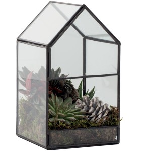 Terrario da tavolo a forma di casetta con succulente e pigne decorative per interni.