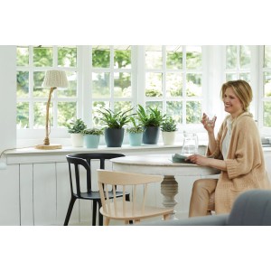 Scena con vasi da fiori Elho Brussels in vari colori su un davanzale.