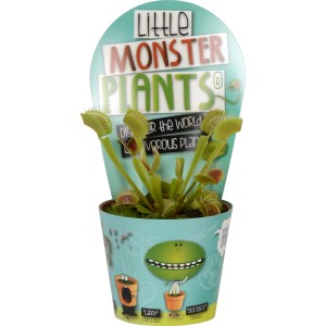 Pianta carnivora Little Monster in vaso a tema mostro, diametro vaso circa 8,5 cm.