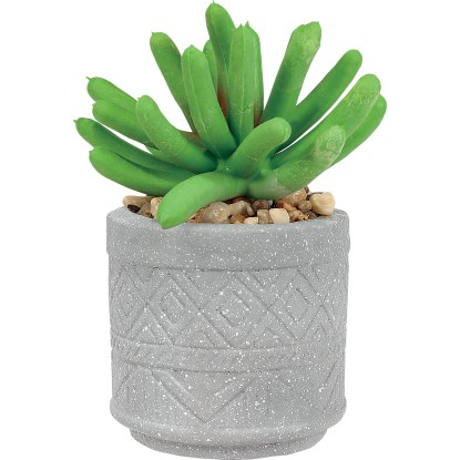 Vaso per piante con decorazione incisa 5x5x8 cm grigio con pianta