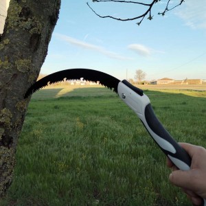 Sega a mano che pota un ramo. Sega ad arco con lama curva.