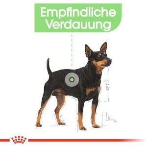 Royal Canin Digestive Care Mini cibo secco per cani di piccola taglia con digestione sensibile.