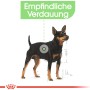 Royal Canin Digestive Care Mini cibo secco per cani di piccola taglia con digestione sensibile.