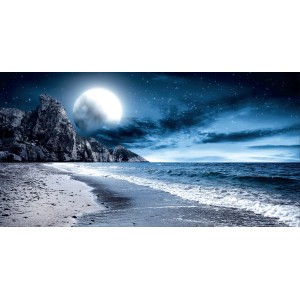 Quadri: Luna sulla costa con rocce e cielo stellato.