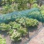 Rete di protezione verde sopra l'orto in giardino. Protezione dai parassiti con t.b.t.