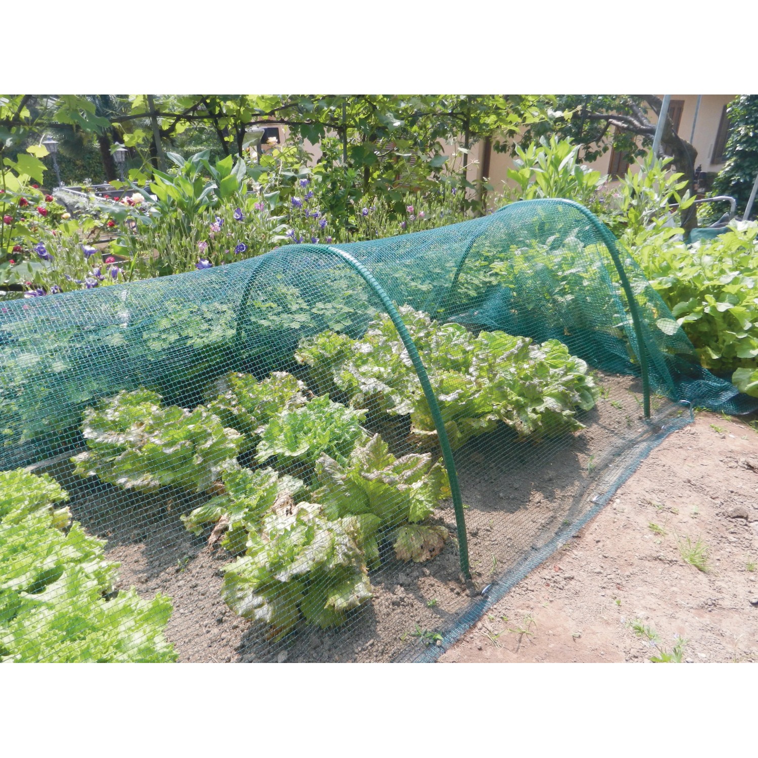 Rete di protezione verde sopra l'orto in giardino. Protezione dai parassiti con t.b.t.