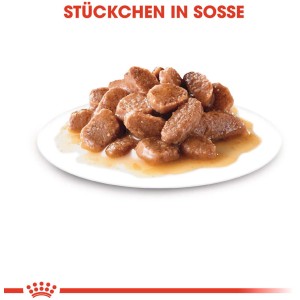 Royal Canin Instinctive cibo umido per gatti in salsa su un piatto.