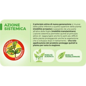 Infografica sull'insetticida biologico t.b.t.: Azione sistemica e modalità d'azione del prodotto per il controllo dei parassiti.