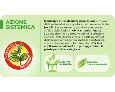 Protect Garden Sanium AL PFnPO, Insetticida Sistemico Pronto Uso. Elimina  Afidi, Cocciniglia, Mosca Bianca. Rapida Azione Abbattente. Fino a 8