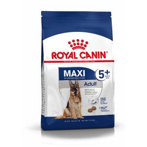 Royal Canin Maxi Adult 5+ cibo secco per cani anziani di taglia grande in sacco da 4 kg.
