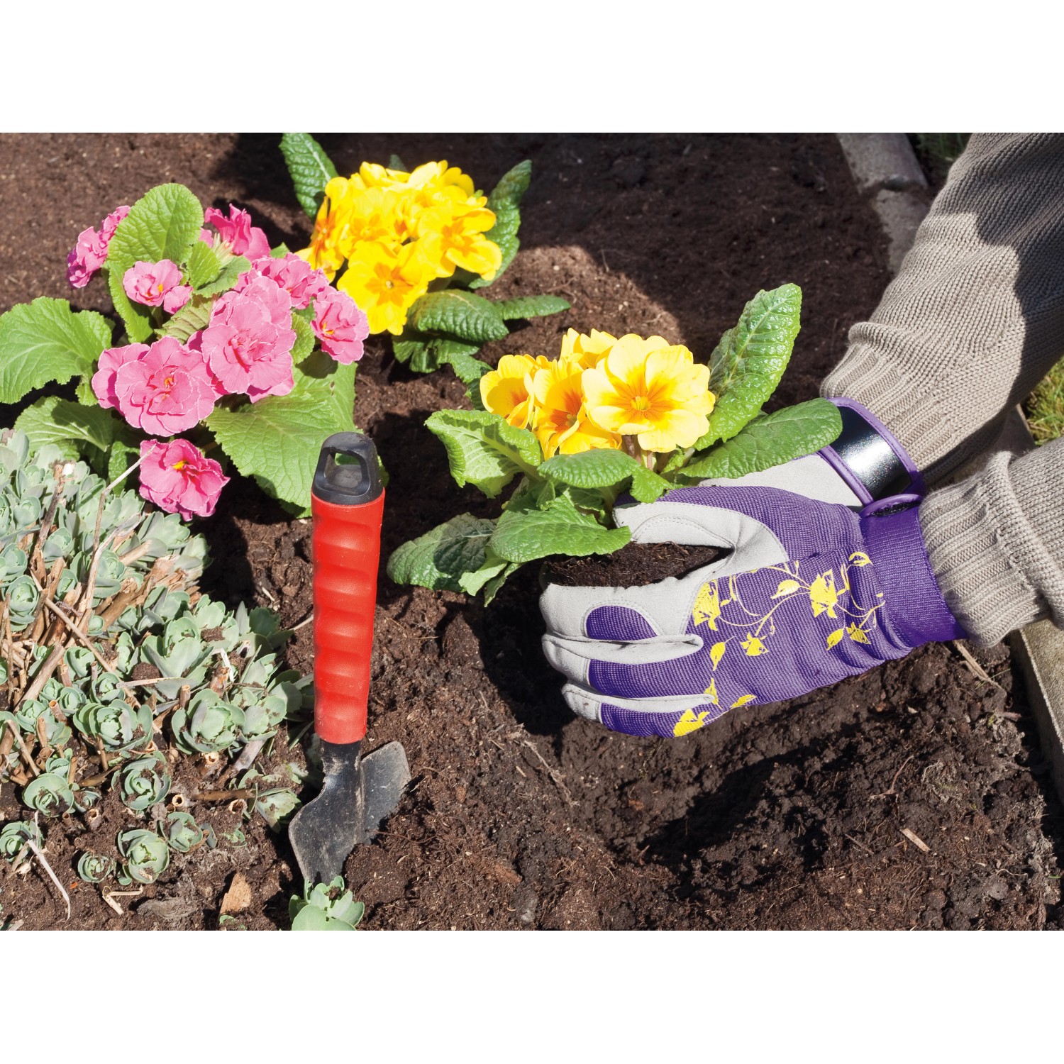Giardinaggio con guanti da giardino LUX viola M: Mani che piantano fiori nel terreno, supportate da una piccola pala.