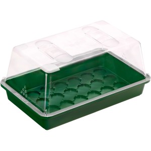 Vassoio di semina universale verde 38x24x6 cm con coperchio trasparente per la propagazione delle piante.