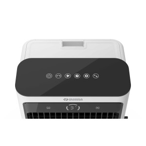 Raffrescatore evaporativo Olimpia Splendid Peler 40 l