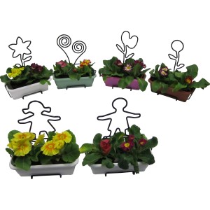 Diversi vasi da fiori piantati con figure in filo metallico come spine per piante, categoria: Accessori per piante e vasi.