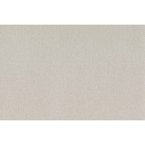 Vernice protettiva per metalli Albrecht Argento-Bronzo, lucida, barattolo da 125ml.