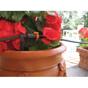 Sistema di irrigazione t.b.t. per piante in vaso con fiori rossi in vaso di terracotta.