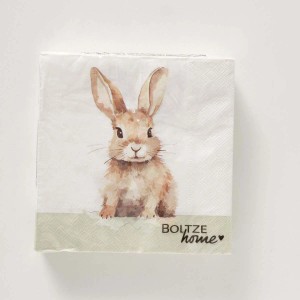 Tovaglioli Hansi assortiti 20 pz