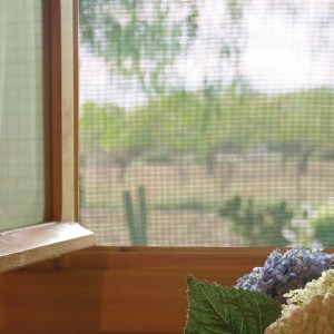 t.b.t. Zanzariera su finestra con vista sul verde.