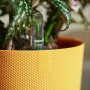Vaso per fiori giallo Elho Jazz (Ø 18,9 cm) con pianta e indicatore del livello dell'acqua.
