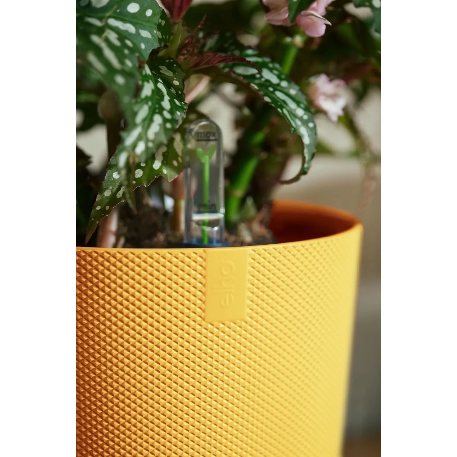 Vaso per fiori giallo Elho Jazz (Ø 18,9 cm) con pianta e indicatore del livello dell'acqua.