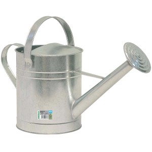 Annaffiatoio in metallo zincato con soffione e manico. Ideale per l'irrigazione del giardino.