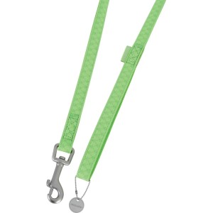 Guinzaglio per cani verde chiaro con moschettone argentato.