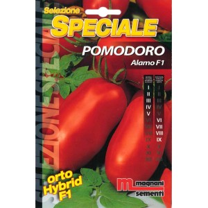 Confezione di semi 't.b.t.' per pomodori Alamo F1, ideale per coltivare ortaggi nel proprio giardino.