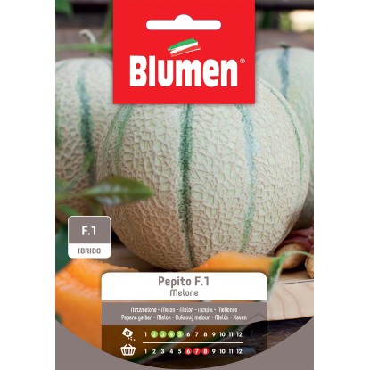 Semi Blumen Melone delizia f.1