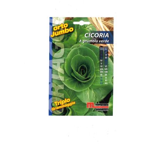 Confezione di semi di 'Cicoria a grumolo verde' di Magnani Sementi.