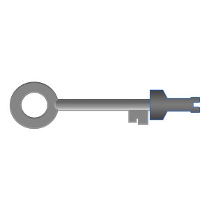 Protezione anti-blocco KeyFix in argento, dettaglio della chiave.